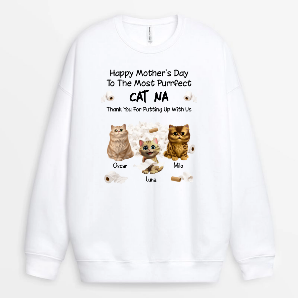 PurrfectCatDad_HisToiletPaperBandits4